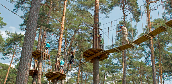 Aktiv im Hochseilgarten