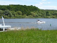 Ausblick aus der Ferienwohnung Artlenburg Fewo Artlenburg mit Elbblick